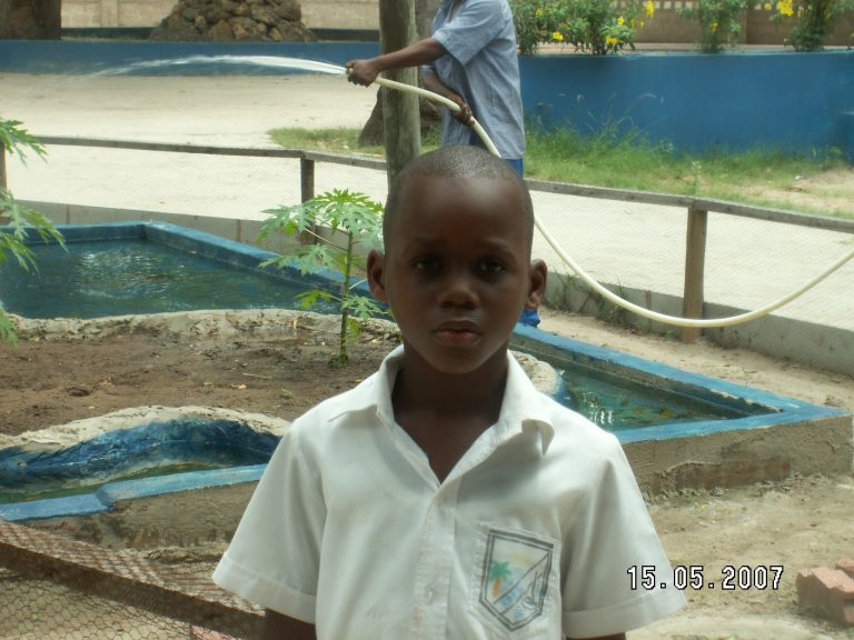ADAM YONA - 2007